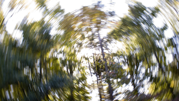 Yrsel: orsak, symtom & behandling